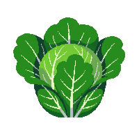 cozy cabbage head green leafy 056 v6 2026 03 25T19 14 54