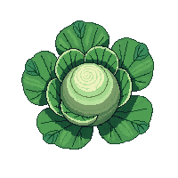 cozy cabbage head green leafy 066 v7 2026 03 25T19 14 54