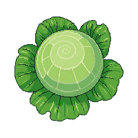 cozy cabbage head green leafy 076 v8 2026 03 25T19 14 54