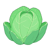 cozy cabbage head green leafy 096 v10 2026 03 25T19 14 54