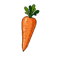 cozy carrot vegetable orange root 091 v10 2026 03 25T19 14 54