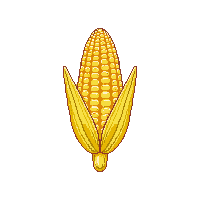 cozy corn cob yellow maize 003 2026 03 25T19 14 54