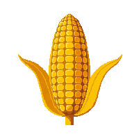 cozy corn cob yellow maize 013 v2 2026 03 25T19 14 54