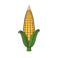 cozy corn cob yellow maize 043 v5 2026 03 25T19 14 54