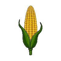 cozy corn cob yellow maize 073 v8 2026 03 25T19 14 54