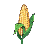 cozy corn cob yellow maize 083 v9 2026 03 25T19 14 54