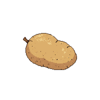 cozy potato tuber brown root 007 2026 03 25T19 14 54