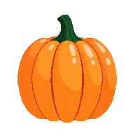 cozy pumpkin orange squash autumn 084 v9 2026 03 25T19 14 54