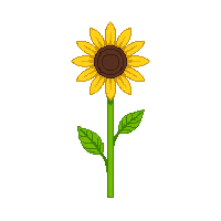 cozy sunflower yellow bloom tall 020 v2 2026 03 25T19 14 54