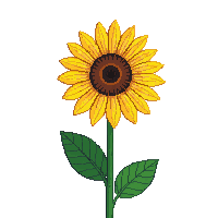 cozy sunflower yellow bloom tall 030 v3 2026 03 25T19 14 54