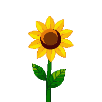 cozy sunflower yellow bloom tall 060 v6 2026 03 25T19 14 54