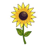 cozy sunflower yellow bloom tall 080 v8 2026 03 25T19 14 54