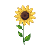 cozy sunflower yellow bloom tall 090 v9 2026 03 25T19 14 54