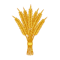 cozy wheat bundle golden grain 005 2026 03 25T19 14 54