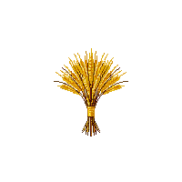 cozy wheat bundle golden grain 015 v2 2026 03 25T19 14 54