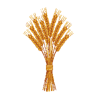 cozy wheat bundle golden grain 025 v3 2026 03 25T19 14 54