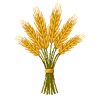 cozy wheat bundle golden grain 035 v4 2026 03 25T19 14 54