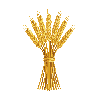 cozy wheat bundle golden grain 045 v5 2026 03 25T19 14 54