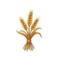 cozy wheat bundle golden grain 055 v6 2026 03 25T19 14 54