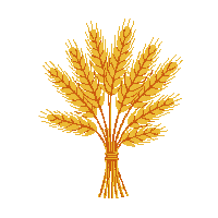 cozy wheat bundle golden grain 065 v7 2026 03 25T19 14 54