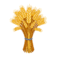 cozy wheat bundle golden grain 075 v8 2026 03 25T19 14 54