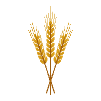 cozy wheat bundle golden grain 085 v9 2026 03 25T19 14 54