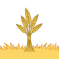 cozy wheat bundle golden grain 095 v10 2026 03 25T19 14 54