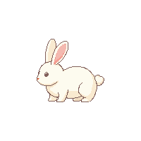 bunny baby