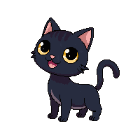 cat black