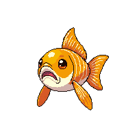 fish orange koi