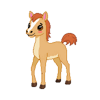 foal