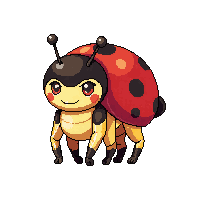 ladybug