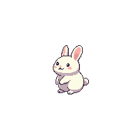 rabbit white