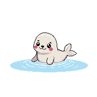 seal pup