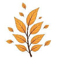 effects particles 0041