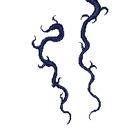 effects particles 0049