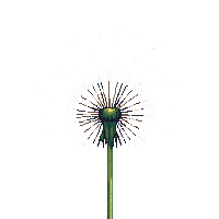 effects particles 0059