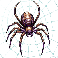 cobweb sparkle morning dew intricate spider