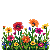 flower bed wildflower meadow colorful enchanted