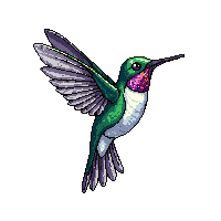 hummingbird enchanted jeweled tiny fast nectar