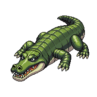 crocodile