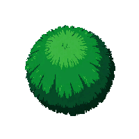 bush green round midnight