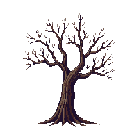 environment nature 0003