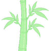 environment nature 0011