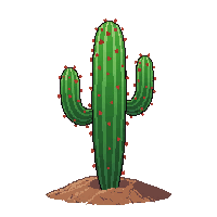 environment nature 0019