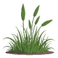 environment nature 0043