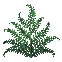 environment nature 0044