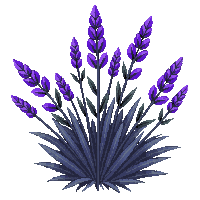 environment nature 0048