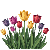 environment nature 0049