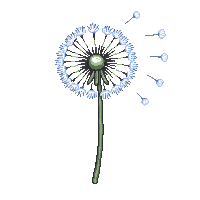 environment nature 0050